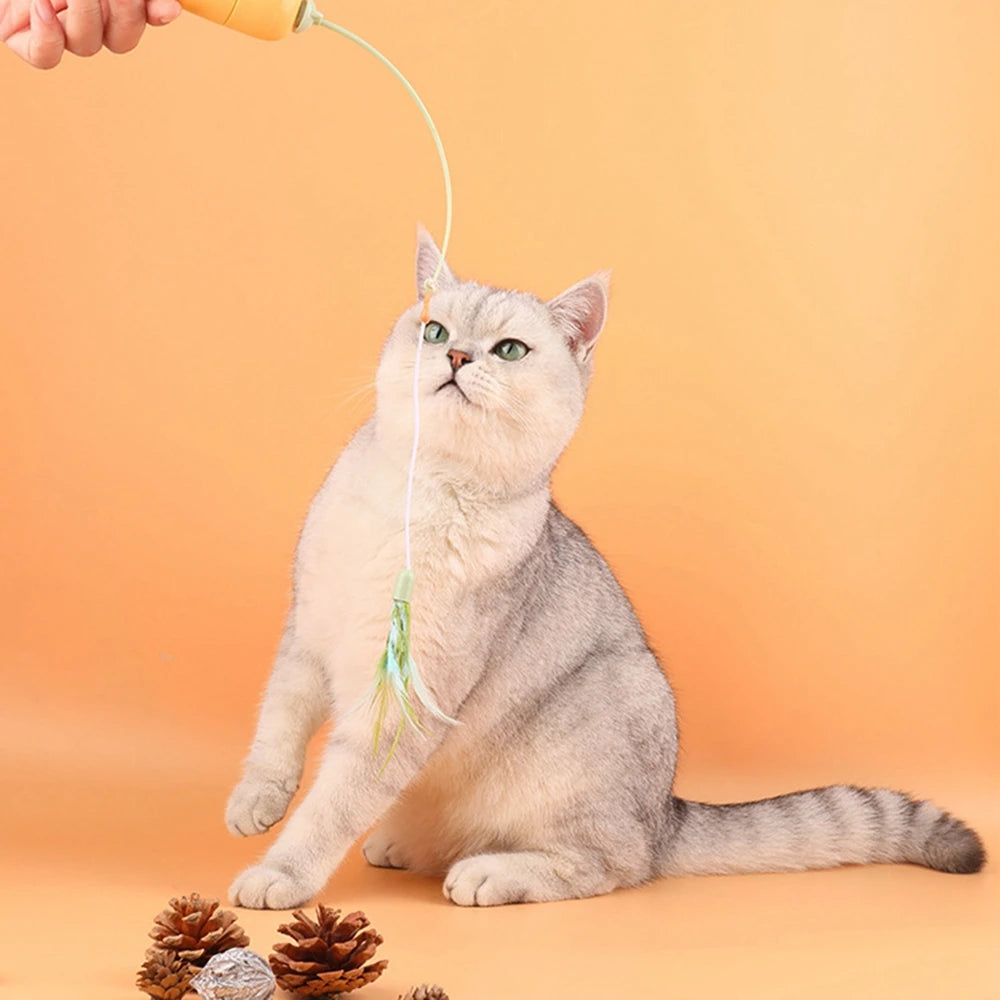 Spinning Carrot Cat Toy