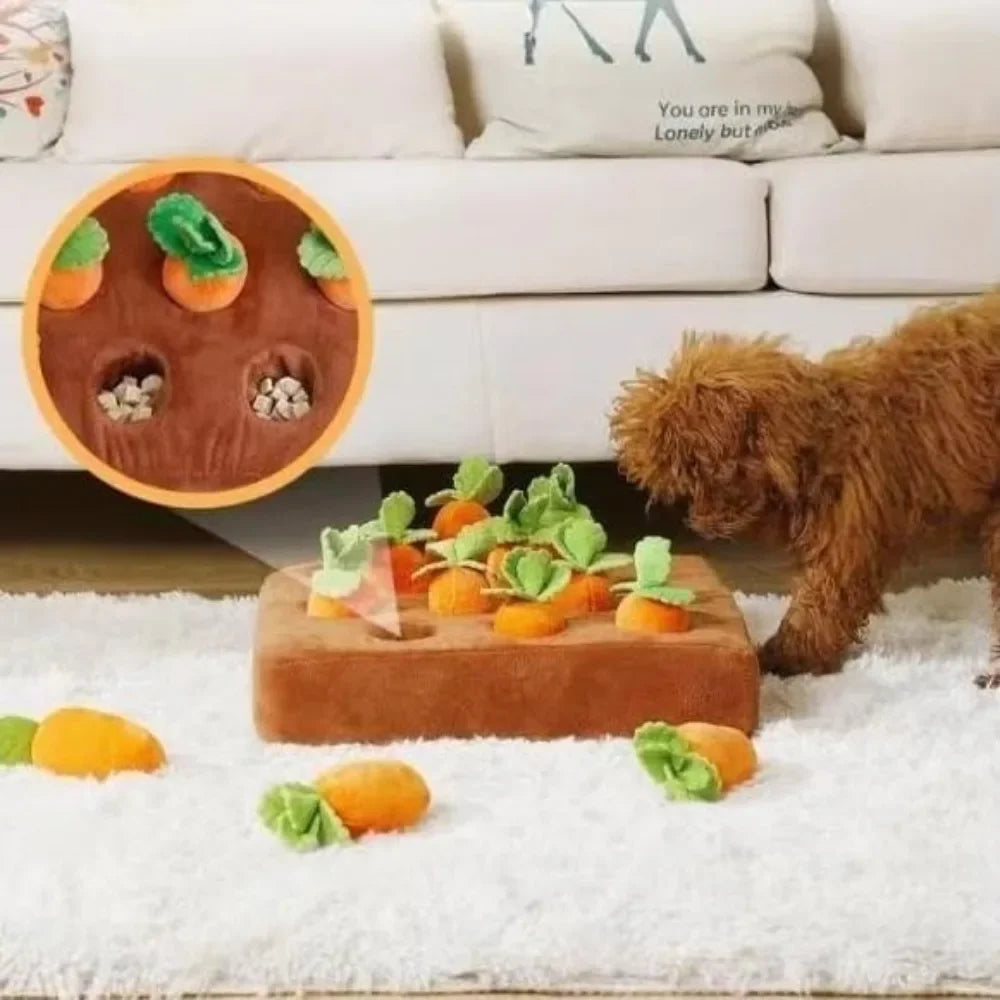 Carrot Pulling Toy