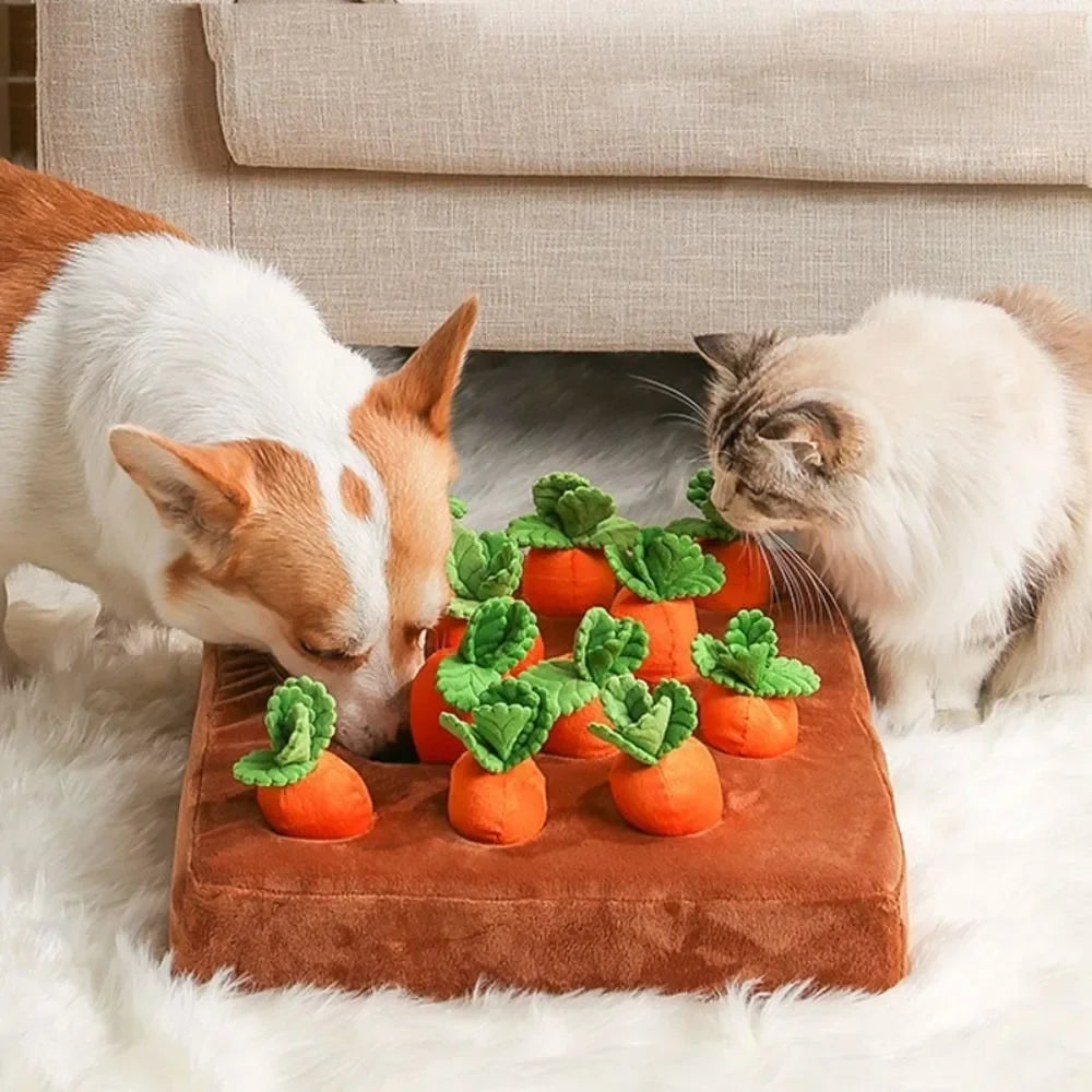 Carrot Pulling Toy