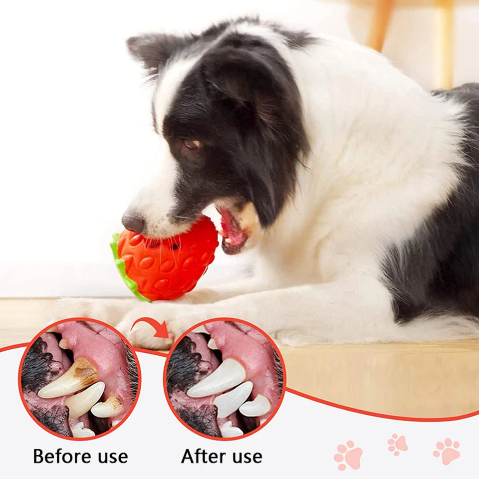 Strawberry Dog Chew Toy