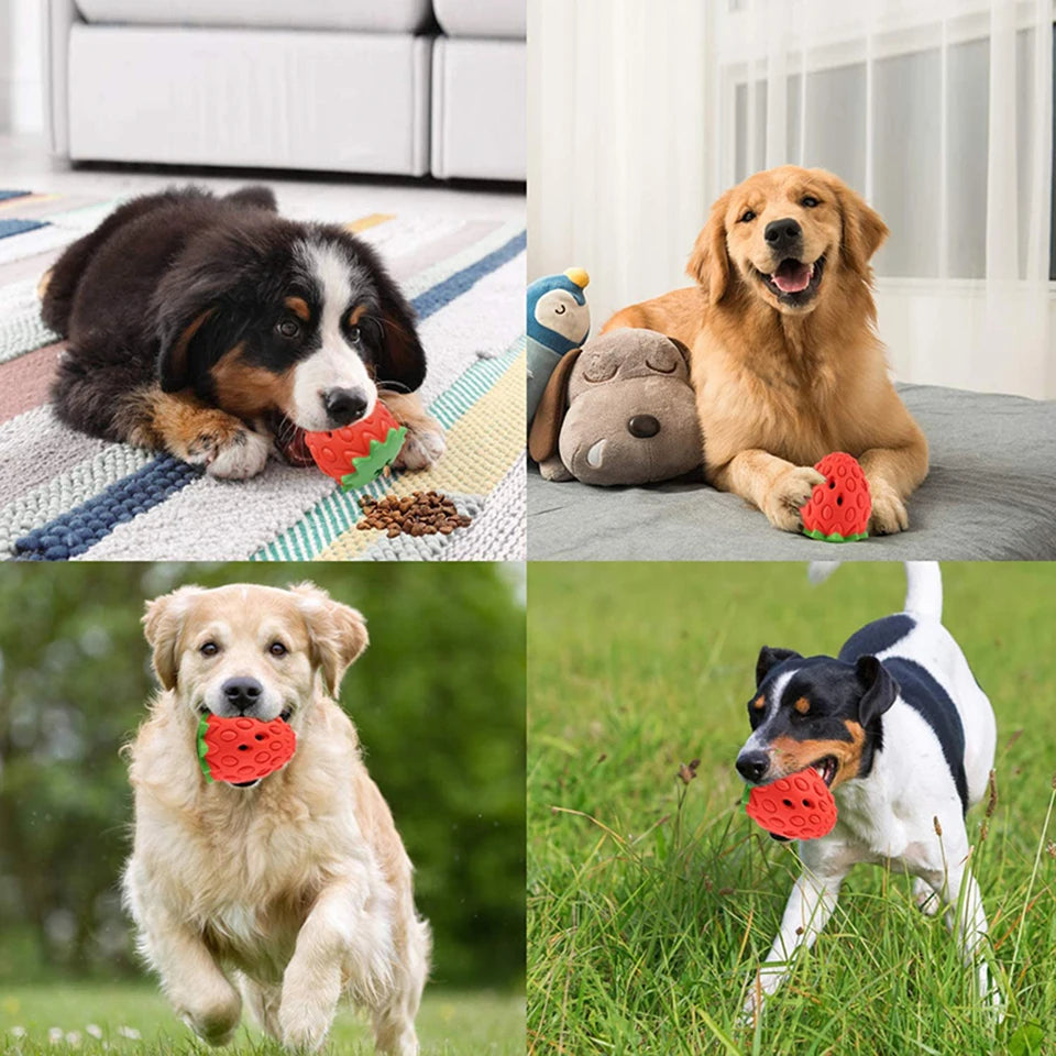 Strawberry Dog Chew Toy