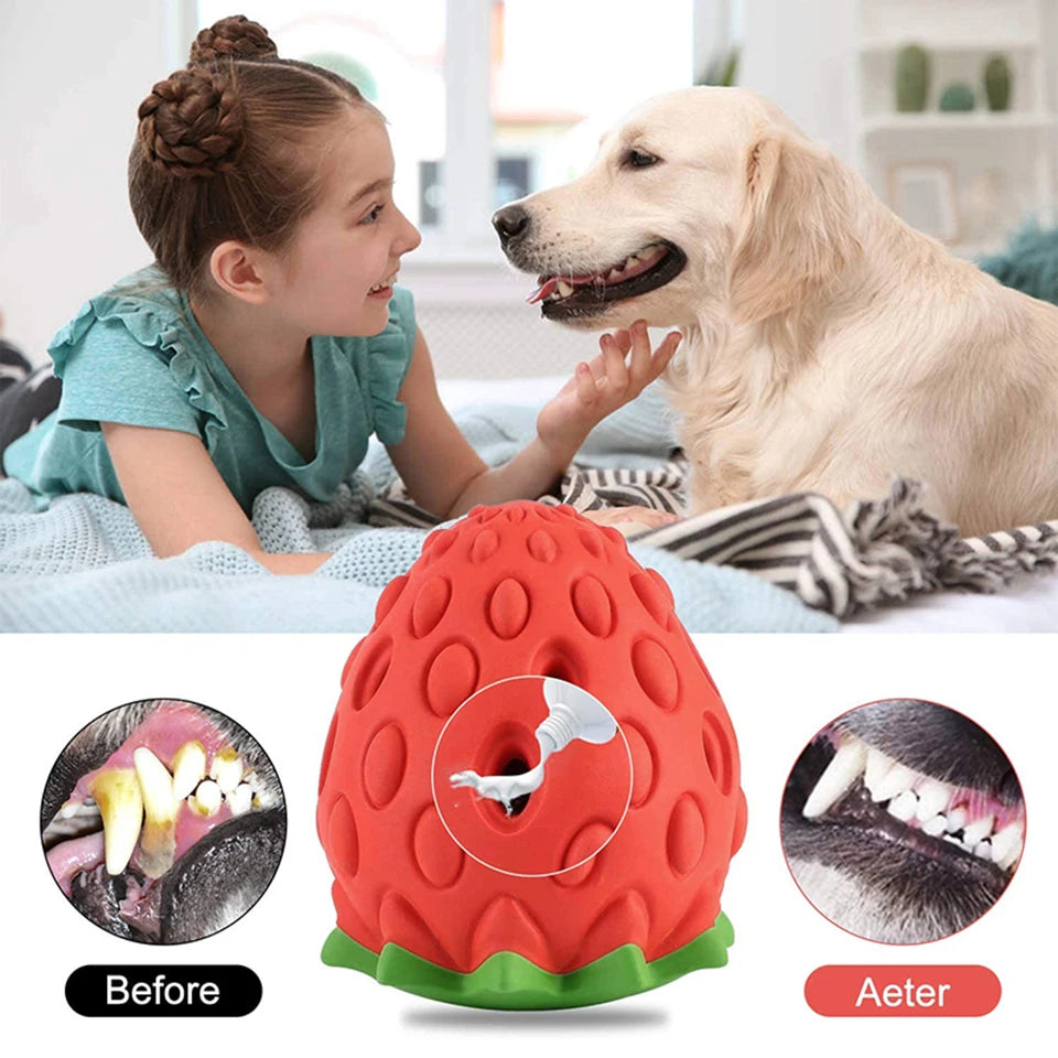 Strawberry Dog Chew Toy